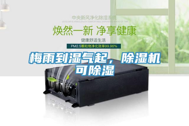 梅雨到濕氣起，除濕機可除濕