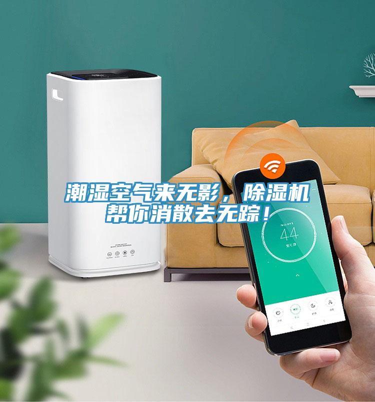 潮濕空氣來無影，除濕機幫你消散去無蹤！