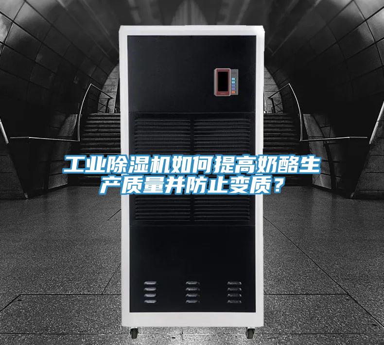 工業除濕機如何提高奶酪生產質量并防止變質？