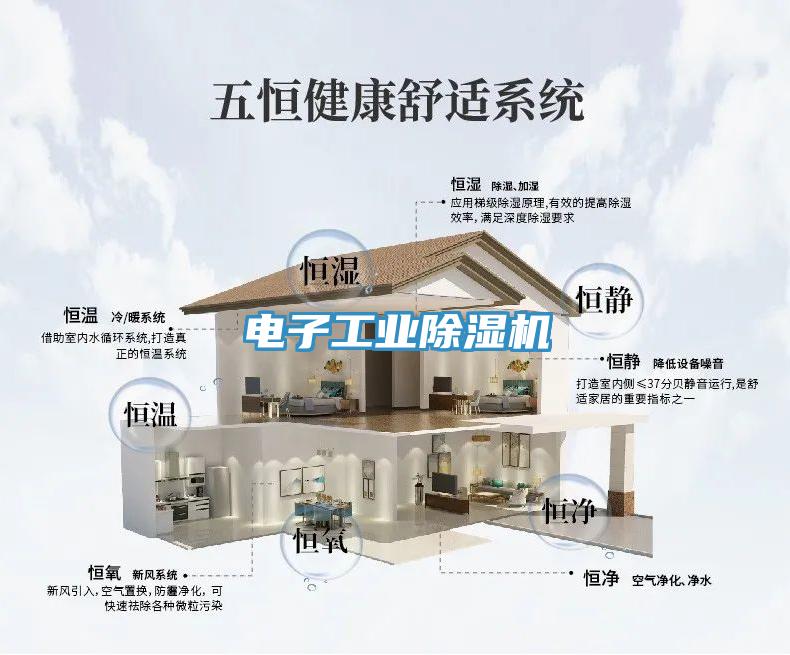 電子工業除濕機