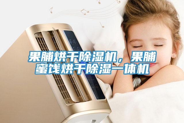 果脯烘干除濕機，果脯蜜餞烘干除濕一體機