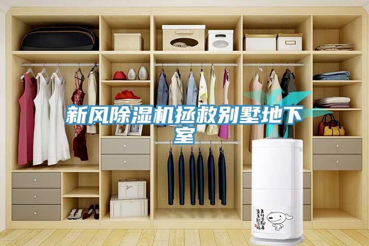 新風除濕機拯救別墅地下室