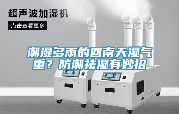 潮濕多雨的回南天濕氣重？防潮祛濕有妙招