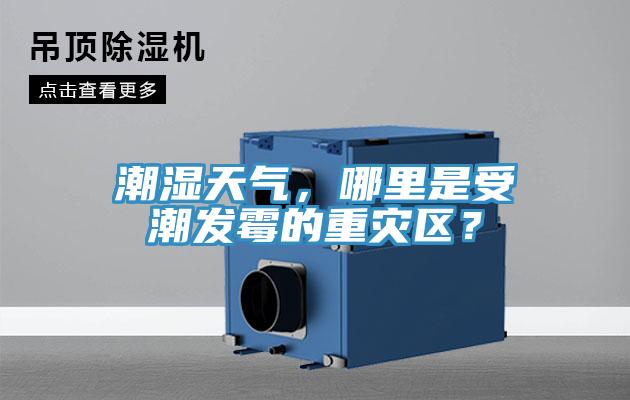 潮濕天氣，哪里是受潮發霉的重災區？