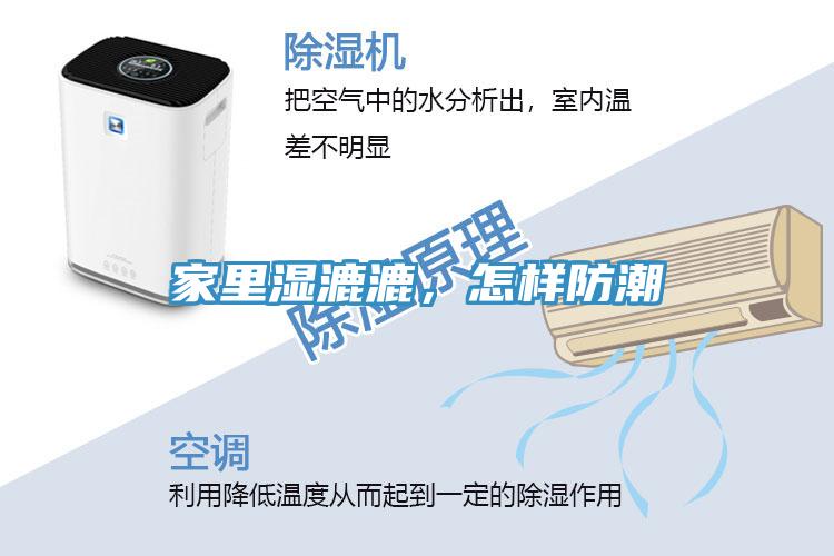家里濕漉漉，怎樣防潮