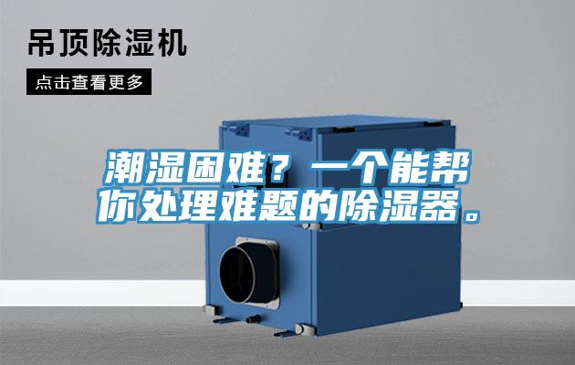 潮濕困難？一個能幫你處理難題的除濕器。
