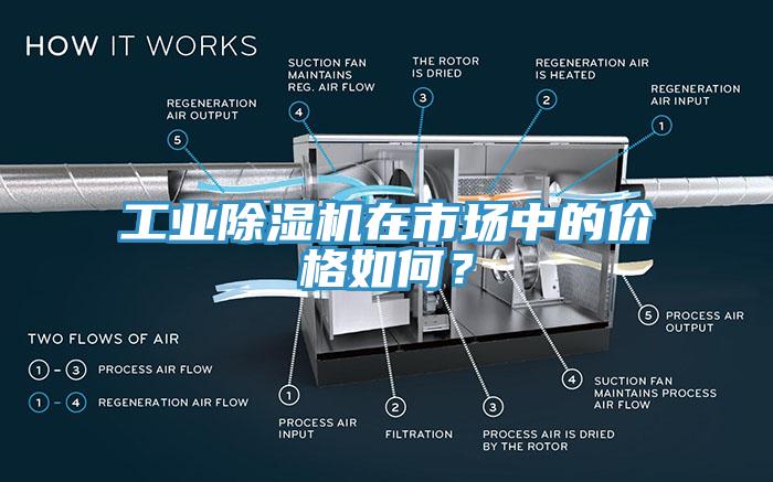 工業除濕機在市場中的價格如何？