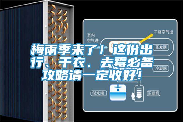 梅雨季來了！這份出行、干衣、去霉必備攻略請一定收好！