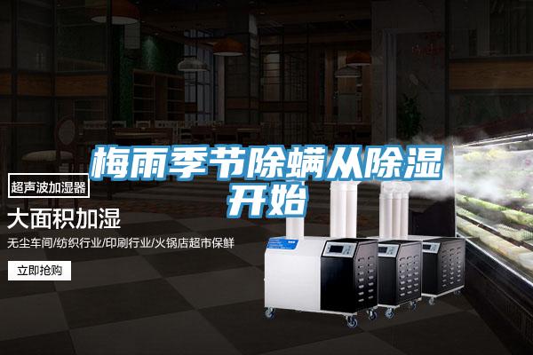 梅雨季節除螨從除濕開始