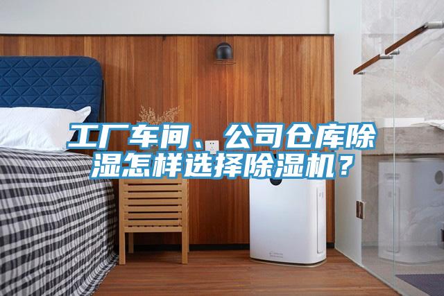 工廠車間、公司倉庫除濕怎樣選擇除濕機？