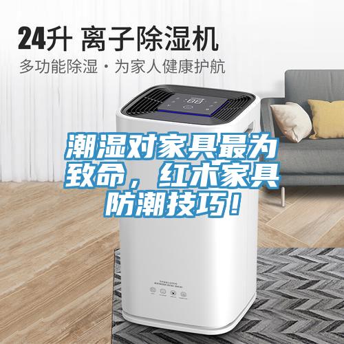 潮濕對家具最為致命，紅木家具防潮技巧！