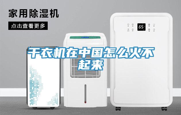 干衣機在中國怎么火不起來