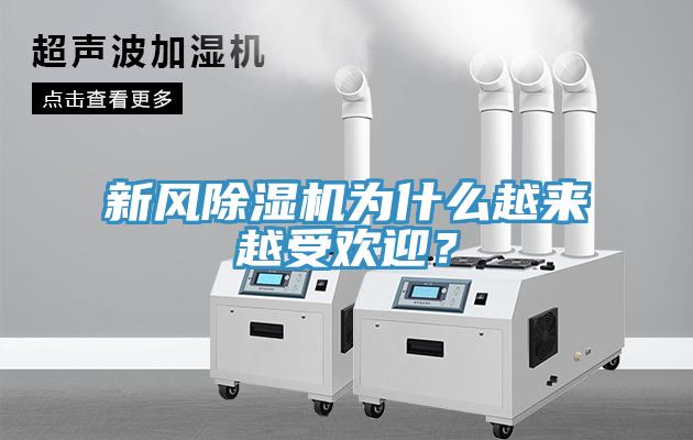 新風除濕機為什么越來越受歡迎？