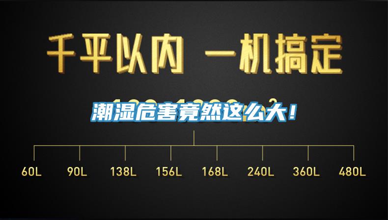 潮濕危害竟然這么大！