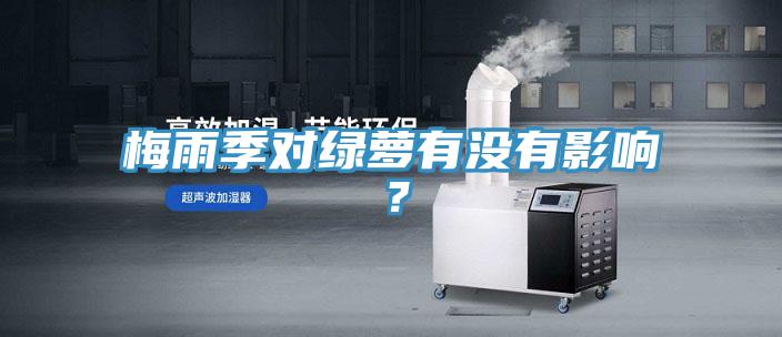 梅雨季對綠蘿有沒有影響？