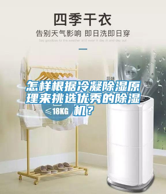 怎樣根據冷凝除濕原理來挑選優秀的除濕機？