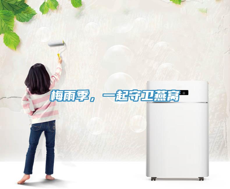 梅雨季，一起守衛燕窩