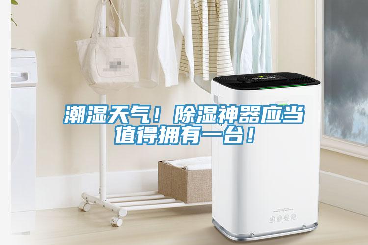 潮濕天氣！除濕神器應當值得擁有一臺！