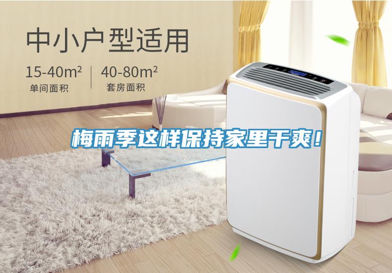 梅雨季這樣保持家里干爽！