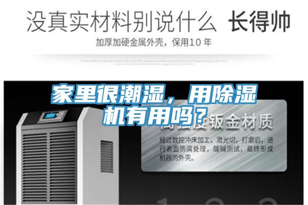 家里很潮濕，用除濕機有用嗎？