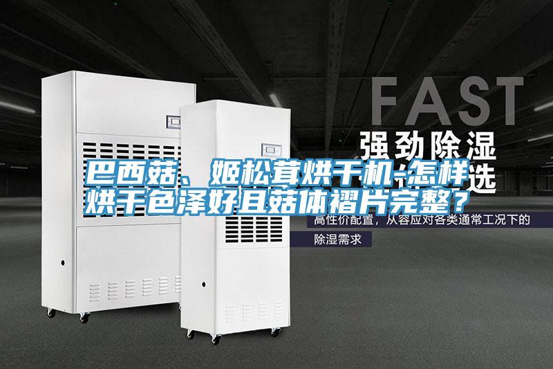 巴西菇、姬松茸烘干機-怎樣烘干色澤好且菇體褶片完整？