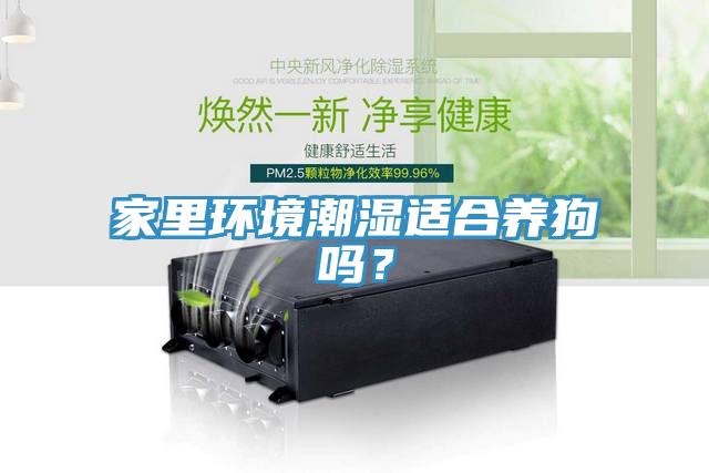 家里環境潮濕適合養狗嗎？