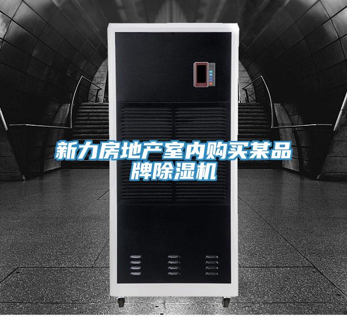 新力房地產室內購買某品牌除濕機