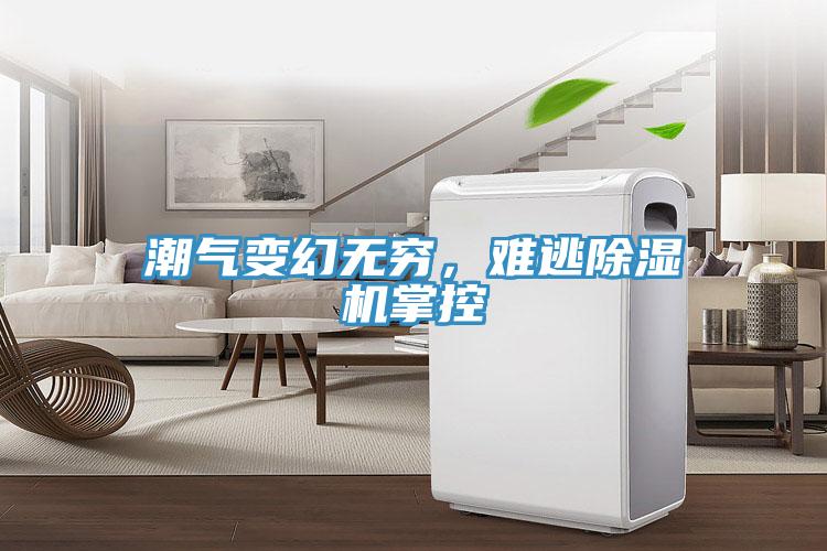 潮氣變幻無窮，難逃除濕機掌控
