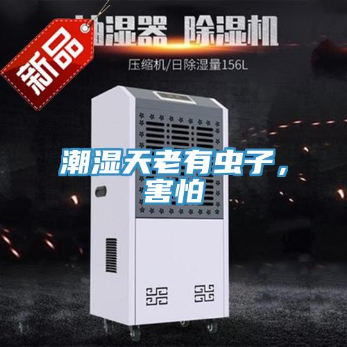 潮濕天老有蟲子，害怕