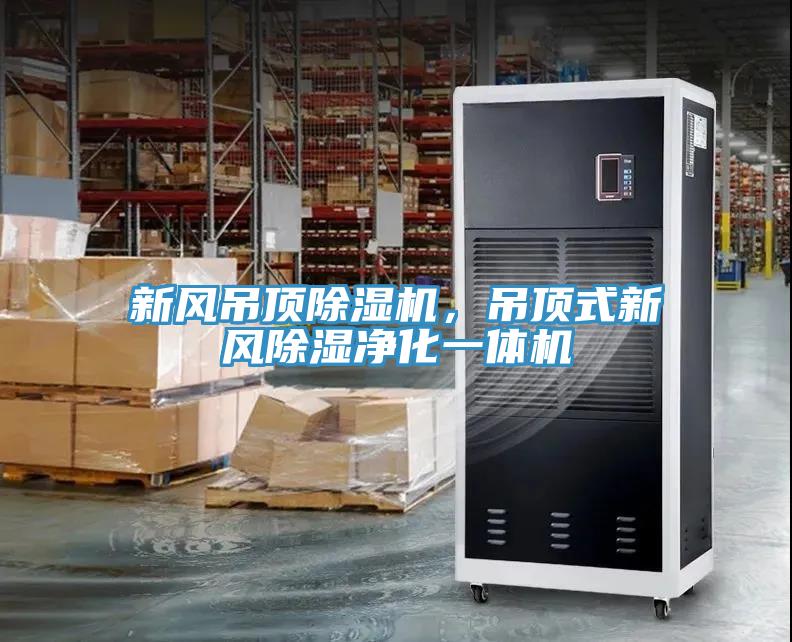 新風吊頂除濕機，吊頂式新風除濕凈化一體機