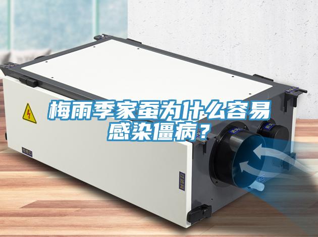 梅雨季家蠶為什么容易感染僵??？