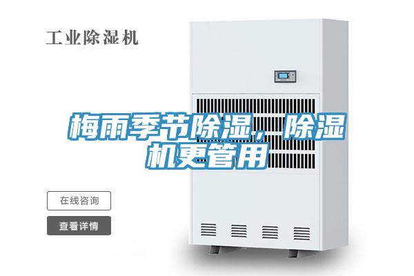 梅雨季節除濕，除濕機更管用