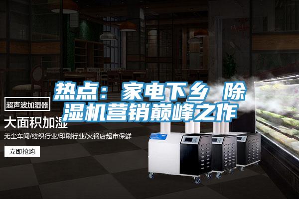 熱點：家電下鄉 除濕機營銷巔峰之作