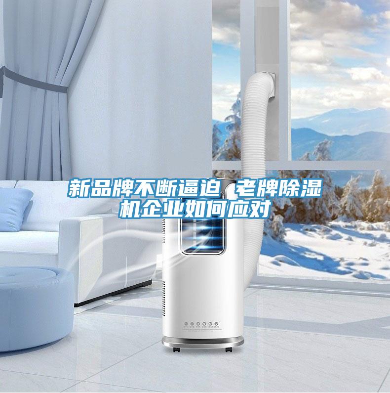 新品牌不斷逼迫 老牌除濕機企業如何應對