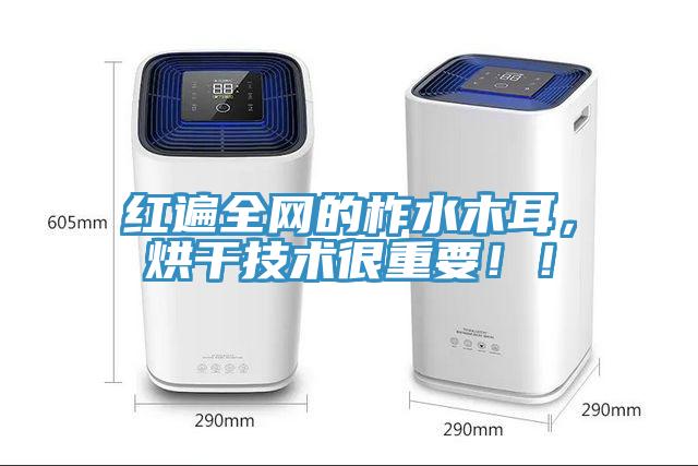 紅遍全網的柞水木耳，烘干技術很重要??！