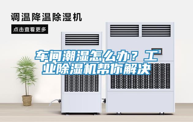 車間潮濕怎么辦？工業除濕機幫你解決