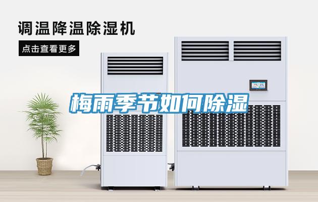 梅雨季節如何除濕