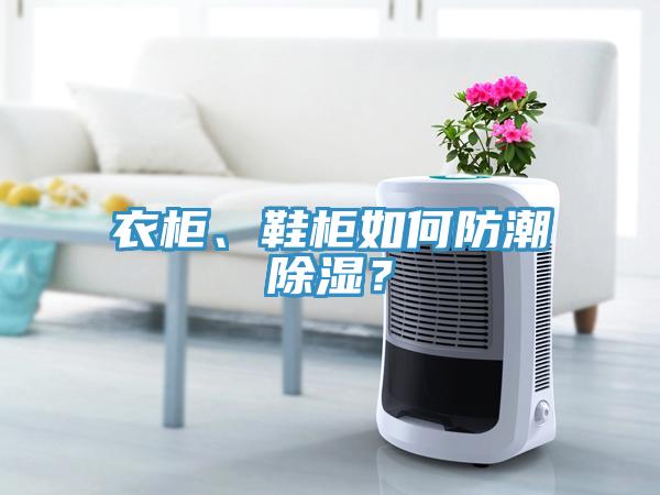 衣柜、鞋柜如何防潮除濕？