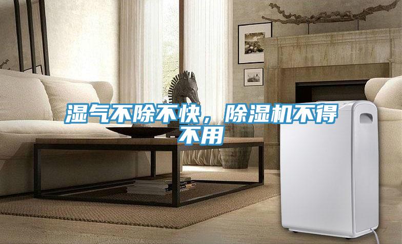 濕氣不除不快，除濕機不得不用