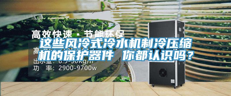 這些風冷式冷水機制冷壓縮機的保護器件 你都認識嗎？