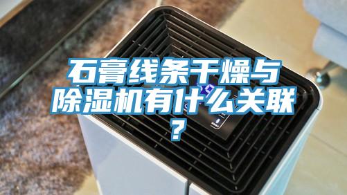 石膏線條干燥與除濕機有什么關聯？