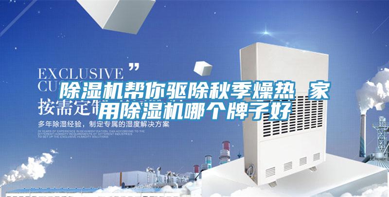 除濕機幫你驅除秋季燥熱 家用除濕機哪個牌子好