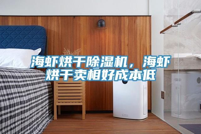 海蝦烘干除濕機，海蝦烘干賣相好成本低