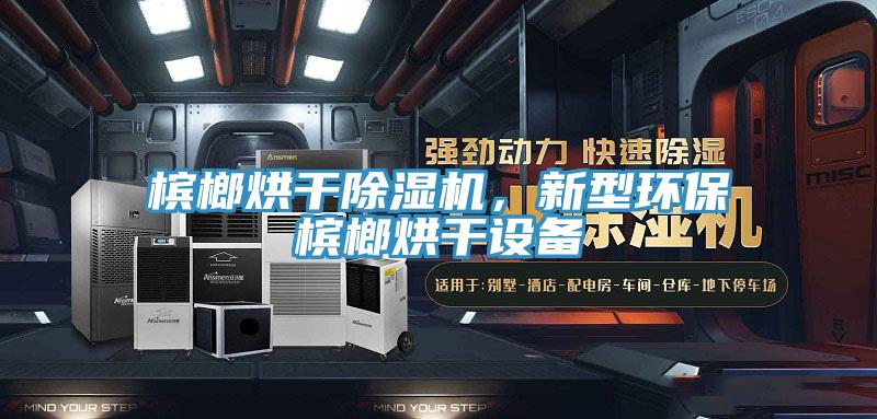 檳榔烘干除濕機，新型環保檳榔烘干設備