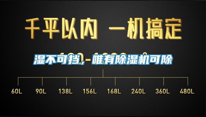 濕不可擋，唯有除濕機可除