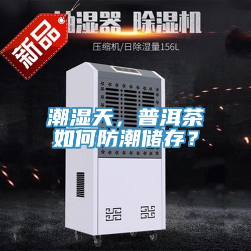 潮濕天，普洱茶如何防潮儲存？
