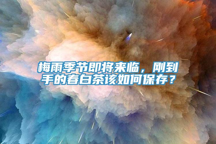 梅雨季節即將來臨，剛到手的春白茶該如何保存？