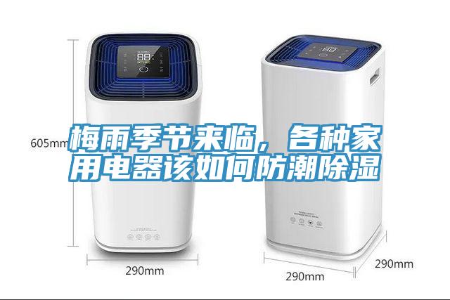 梅雨季節來臨，各種家用電器該如何防潮除濕