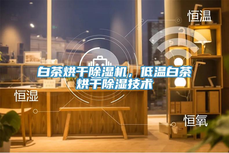 白茶烘干除濕機，低溫白茶烘干除濕技術
