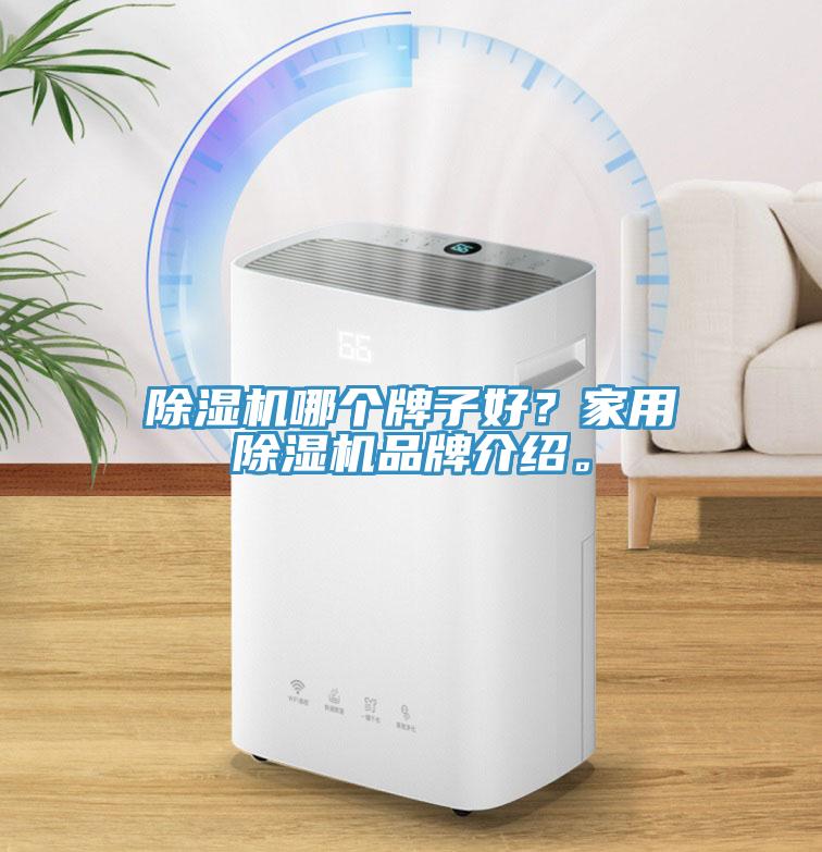 除濕機哪個牌子好？家用除濕機品牌介紹。